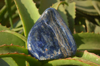 Polished Sodalite Standing Free Forms x 3 From Kunene River, Namibia