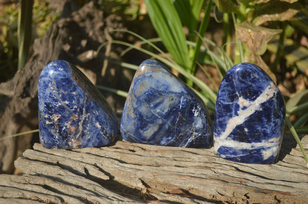 Polished Sodalite Standing Free Forms x 3 From Kunene River, Namibia