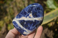 Polished Sodalite Standing Free Forms x 3 From Kunene River, Namibia