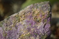 Natural Stichtite Cobbed Specimens x 4 From Barberton, South Africa