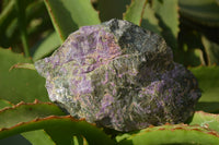 Natural Stichtite Cobbed Specimens x 4 From Barberton, South Africa