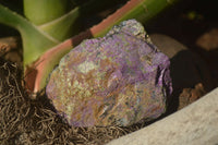 Natural Stichtite Cobbed Specimens x 4 From Barberton, South Africa