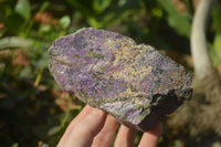 Natural Stichtite Cobbed Specimens x 4 From Barberton, South Africa