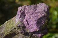 Natural Stichtite Cobbed Specimens x 4 From Barberton, South Africa