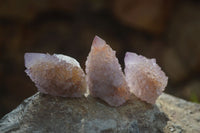 Natural Ametrine Spirit Quartz Crystals x 35 From Boekenhouthoek, South Africa