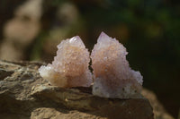 Natural Ametrine Spirit Quartz Crystals x 35 From Boekenhouthoek, South Africa