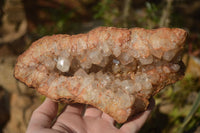 Natural Zululand Amethyst Geodes x 2 from Jozini, South Africa