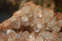 Natural Zululand Amethyst Geodes x 2 from Jozini, South Africa