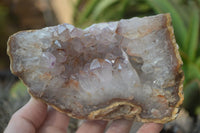 Natural Zululand Amethyst Geodes x 2 from Jozini, South Africa