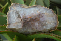 Natural Zululand Amethyst Geodes x 2 from Jozini, South Africa