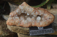 Natural Zululand Amethyst Geodes x 2 from Jozini, South Africa