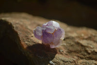 Natural Mini Flower Amethyst Crystals x 1.9 Kg Lot From Madagascar