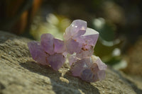 Natural Mini Flower Amethyst Crystals x 1.9 Kg Lot From Madagascar