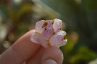 Natural Mini Flower Amethyst Crystals x 1.9 Kg Lot From Madagascar