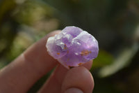 Natural Mini Flower Amethyst Crystals x 1.9 Kg Lot From Madagascar