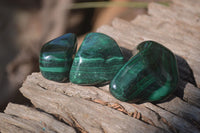 Polished Flower Banded Malachite Free Forms x 35 From Congo