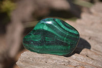 Polished Flower Banded Malachite Free Forms x 35 From Congo