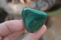 Polished Flower Banded Malachite Free Forms x 35 From Congo