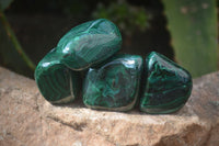 Polished Flower Banded Malachite Free Forms x 35 From Congo