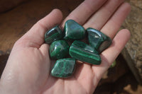 Polished Flower Banded Malachite Free Forms x 35 From Congo