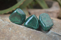 Polished Flower Banded Malachite Free Forms x 35 From Congo