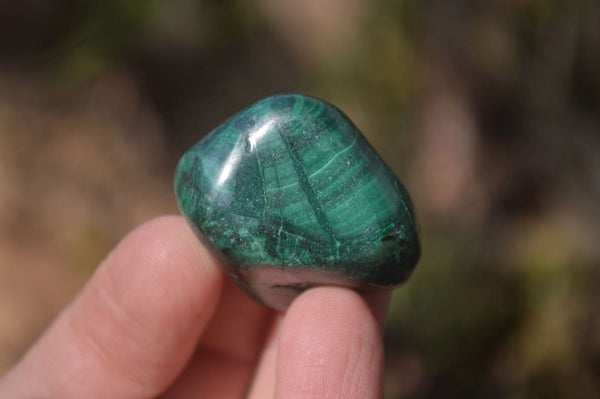 Polished Flower Banded Malachite Free Forms x 35 From Congo