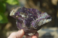 Natural Metallic Purpurite Cobbed Specimens x 5 From Erongo, Namibia