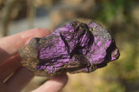 Natural Metallic Purpurite Cobbed Specimens x 5 From Erongo, Namibia