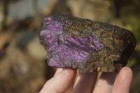 Natural Metallic Purpurite Cobbed Specimens x 5 From Erongo, Namibia