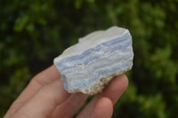 Natural Crystalline Blue Lace Agate Specimens x 12 From Namibia.