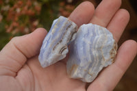 Natural Crystalline Blue Lace Agate Specimens x 12 From Namibia.