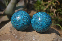 Polished Chrysocolla Conglomerate Spheres x 2 From Congo