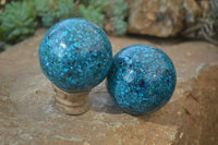 Polished Chrysocolla Conglomerate Spheres x 2 From Congo