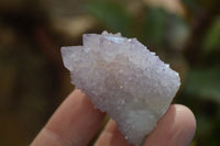 Natural Ametrine Spirit Quartz Clusters x 35 From Boekenhouthoek, South Africa