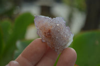 Natural Ametrine Spirit Quartz Clusters x 35 From Boekenhouthoek, South Africa