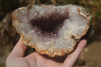 Natural Zululand Amethyst Geodes x 2 from Jozini, South Africa