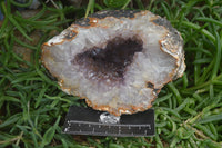 Natural Zululand Amethyst Geodes x 2 from Jozini, South Africa