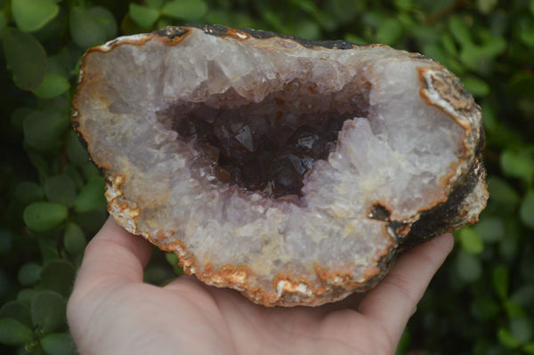 Natural Zululand Amethyst Geodes x 2 from Jozini, South Africa