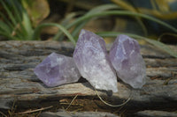 Natural Jacaranda Amethyst Crystals x 20 From Zambia