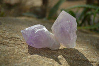 Natural Jacaranda Amethyst Crystals x 20 From Zambia