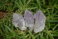 Natural Jacaranda Amethyst Crystals x 20 From Zambia