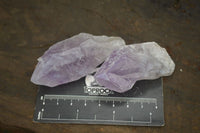 Natural Jacaranda Amethyst Crystals x 20 From Zambia