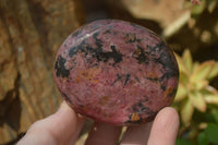 Polished Rhodonite Free Forms x 6 From Zimbabwe