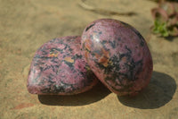 Polished Rhodonite Free Forms x 6 From Zimbabwe