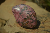 Polished Rhodonite Free Forms x 6 From Zimbabwe