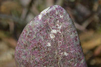 Polished Rubellite Pink Tourmaline Standing Free Form x 1 From Madagascar