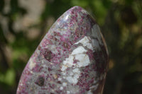 Polished Rubellite Pink Tourmaline Standing Free Form x 1 From Madagascar