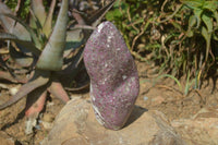 Polished Rubellite Pink Tourmaline Standing Free Form x 1 From Madagascar