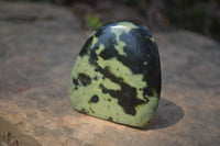 Polished Leopard Stone Standing Free Forms x 6 From Nyanga, Zimbabwe