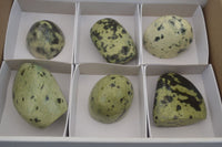 Polished Leopard Stone Standing Free Forms x 6 From Nyanga, Zimbabwe